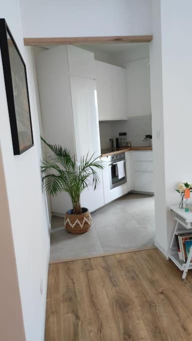 Apartment Appartement Perpignan Perpignan